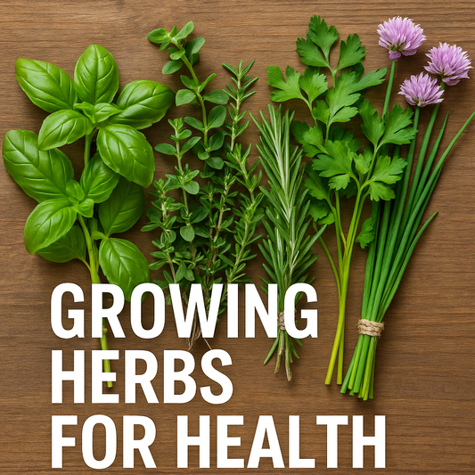 Backyard Medicine: Why Growing Herbs Could Be the Healthiest Choice You Ever Make