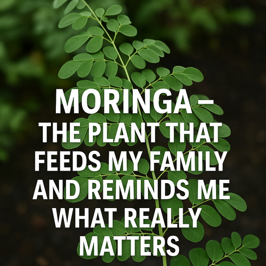 Moringa – The Plant That Feeds My Family and Reminds Me What Really Matters