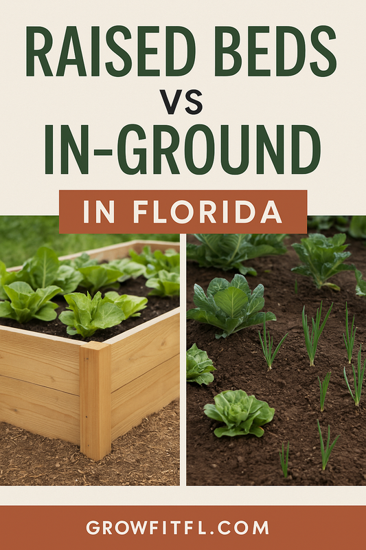 Raised Beds vs In-Ground in Florida