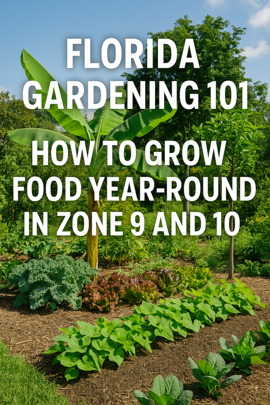 Florida Gardening 101: How to Grow Food Year-Round in Zone 9 and 10