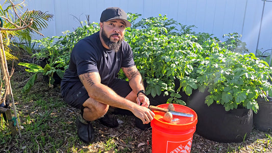 Jermaine Jefferson working in his West Central Florida Zone 10a food forest