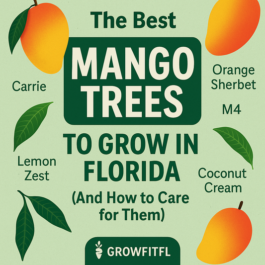 The best mango trees to grow in Florida and how to care for them