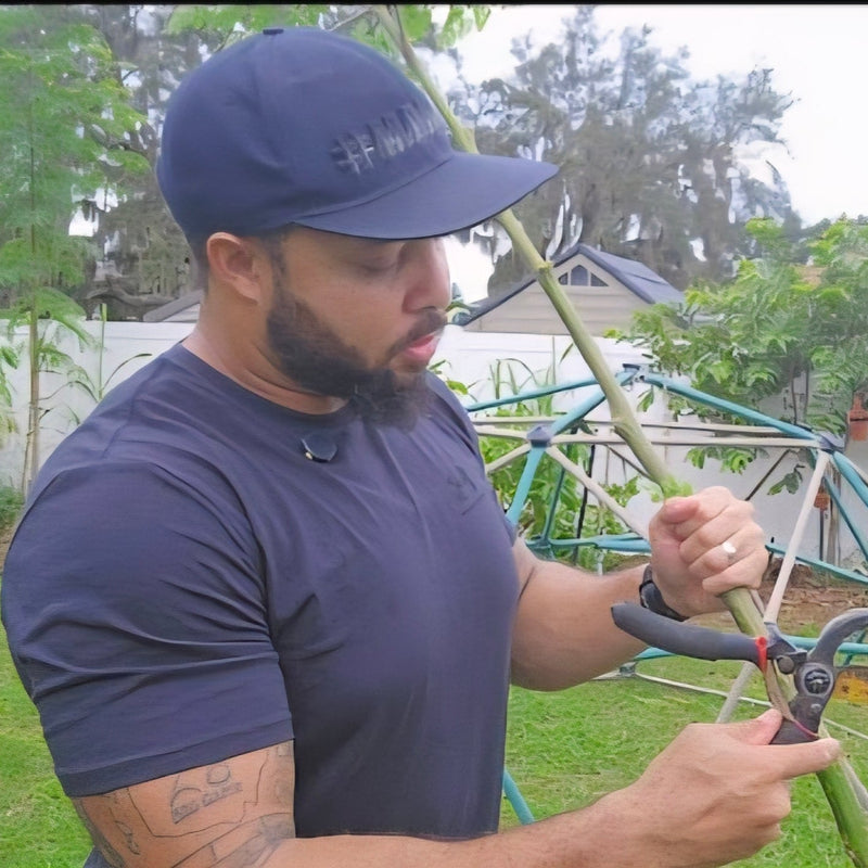 growfitfl with moringa