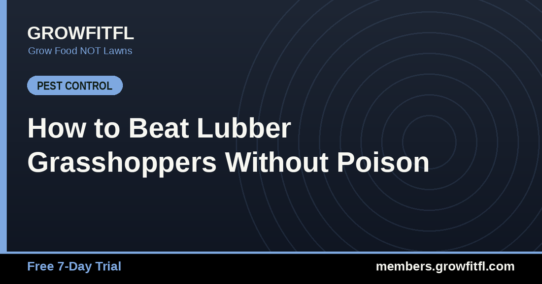 How to Beat Lubber Grasshoppers Without Poison - GrowFitFL Florida gardening