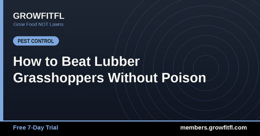 How to Beat Lubber Grasshoppers Without Poison - GrowFitFL Florida gardening