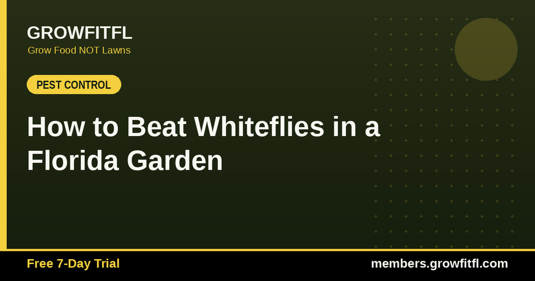How to Beat Whiteflies in a Florida Garden - GrowFitFL Florida gardening