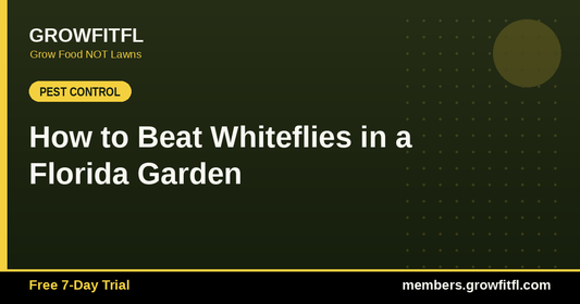 How to Beat Whiteflies in a Florida Garden - GrowFitFL Florida gardening