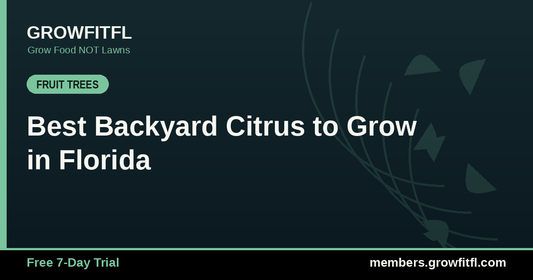 Best Backyard Citrus to Grow in Florida - GrowFitFL Florida gardening