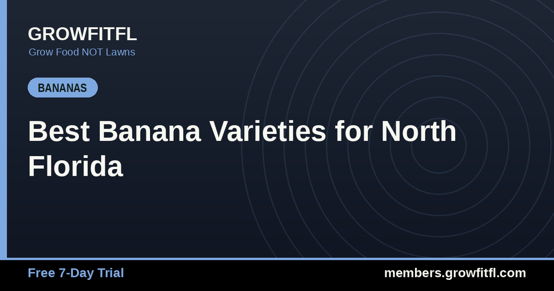 Best Banana Varieties for North Florida - GrowFitFL Florida gardening