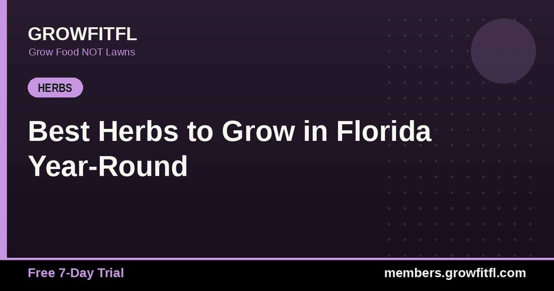 Best Herbs to Grow in Florida Year-Round - GrowFitFL Florida gardening