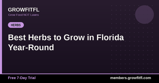 Best Herbs to Grow in Florida Year-Round - GrowFitFL Florida gardening