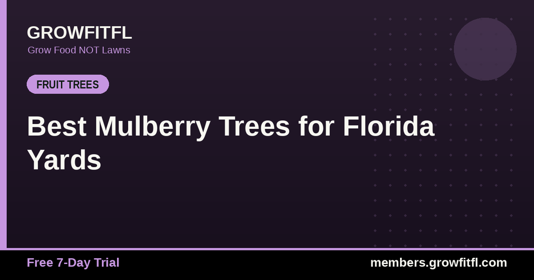 Best Mulberry Trees for Florida Yards - GrowFitFL Florida gardening