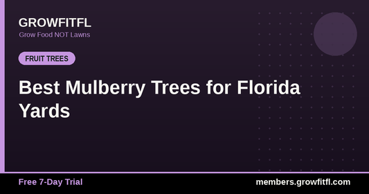 Best Mulberry Trees for Florida Yards - GrowFitFL Florida gardening