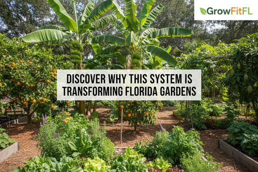 Florida food freedom system breakdown what's included and how it helps you grow fast