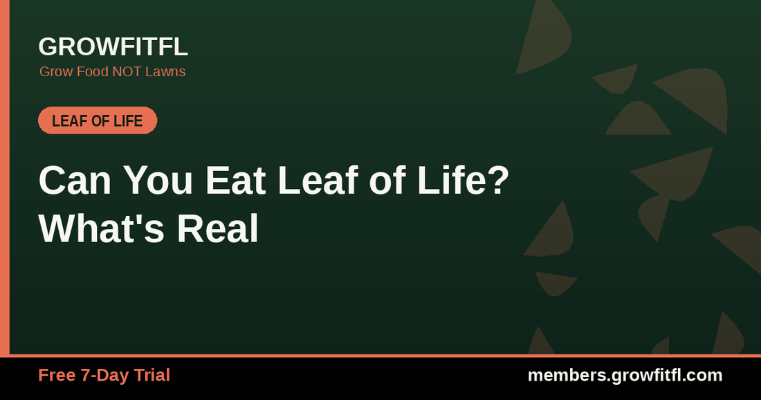 Can You Eat Leaf of Life? What's Real - GrowFitFL Florida gardening