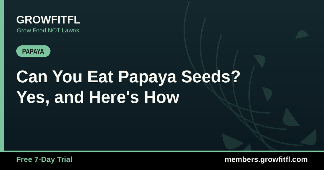 Can You Eat Papaya Seeds? Yes, and Here's How - GrowFitFL Florida gardening