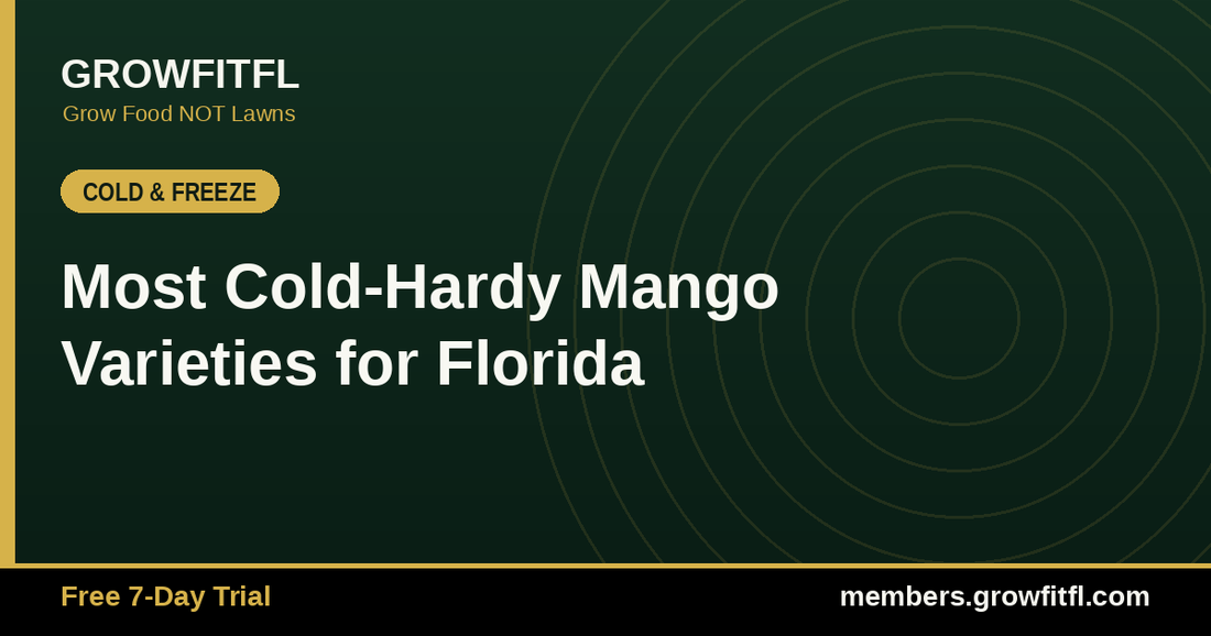 Most Cold-Hardy Mango Varieties for Florida - GrowFitFL Florida gardening