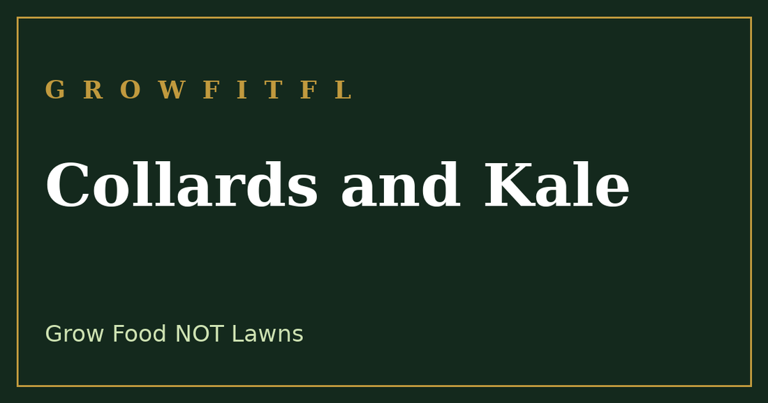 How to grow collards and kale for months of harvest in the South - GrowFitFL Florida gardening