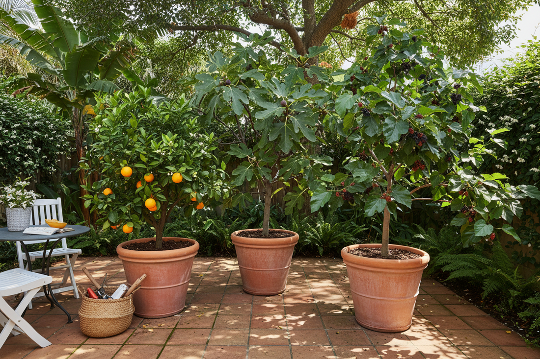 Best fruit trees for small southern yards big production in tight spaces