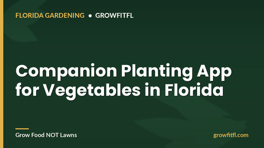 Companion Planting App for Vegetables in Florida - GrowFitFL Florida gardening