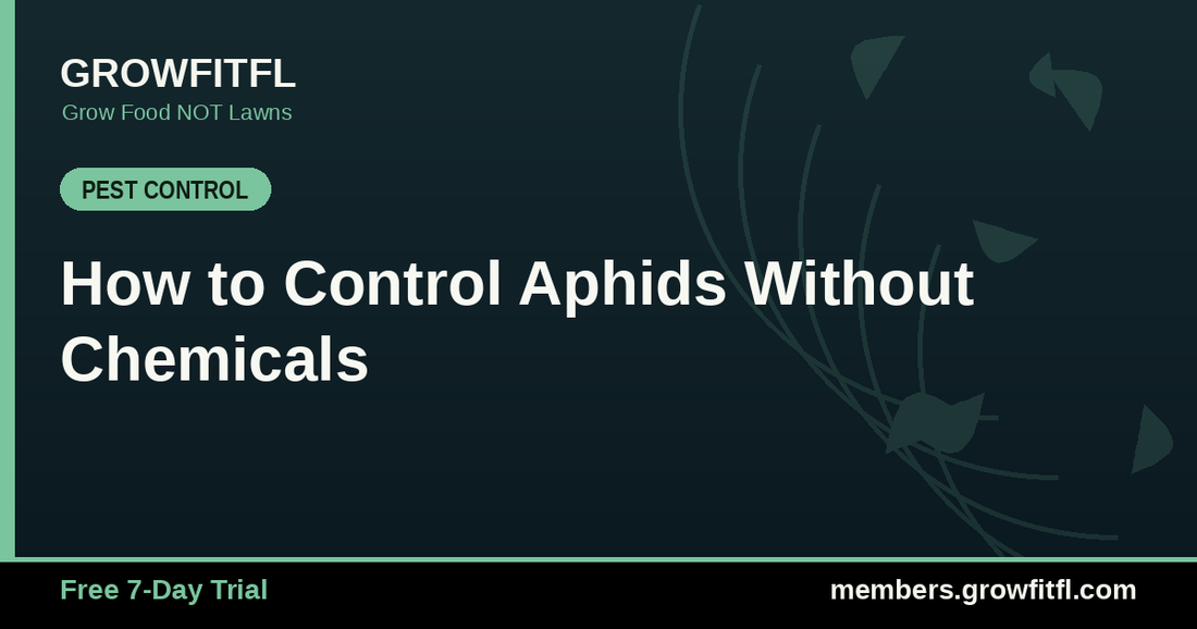 How to Control Aphids Without Chemicals - GrowFitFL Florida gardening