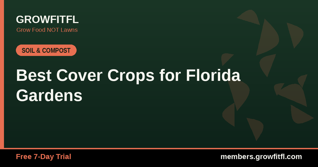 Best Cover Crops for Florida Gardens - GrowFitFL Florida gardening