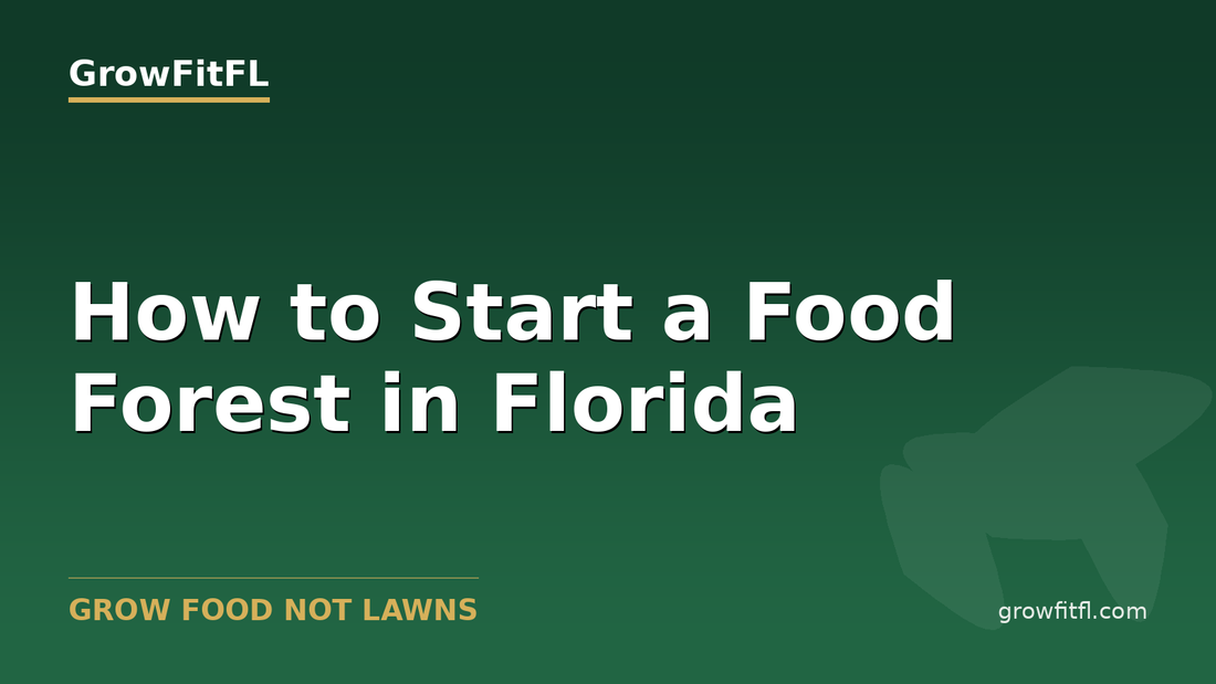 How to Start a Food Forest in Florida - GrowFitFL