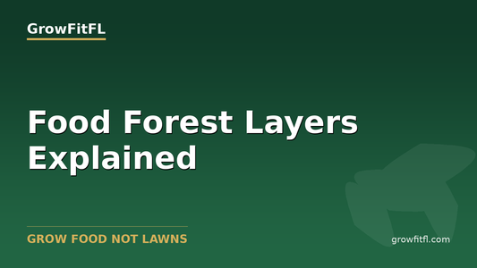 Food Forest Layers Explained - GrowFitFL