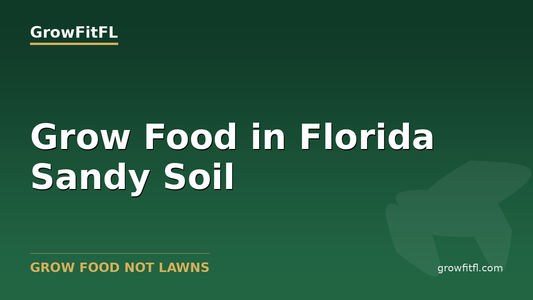 How to Grow Food in Florida Sandy Soil - GrowFitFL