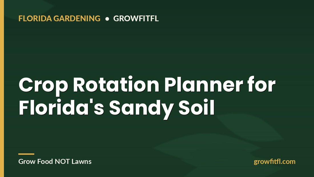 Crop Rotation Planner for Florida's Sandy Soil - GrowFitFL Florida gardening