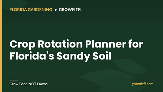 Crop Rotation Planner for Florida's Sandy Soil - GrowFitFL Florida gardening