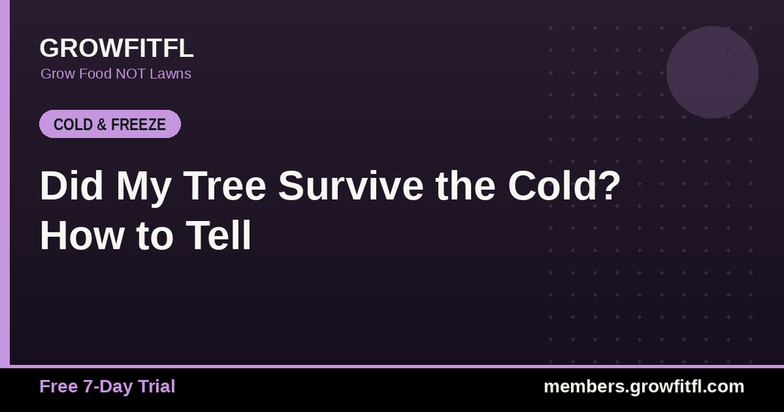 Did My Tree Survive the Cold? How to Tell - GrowFitFL Florida gardening
