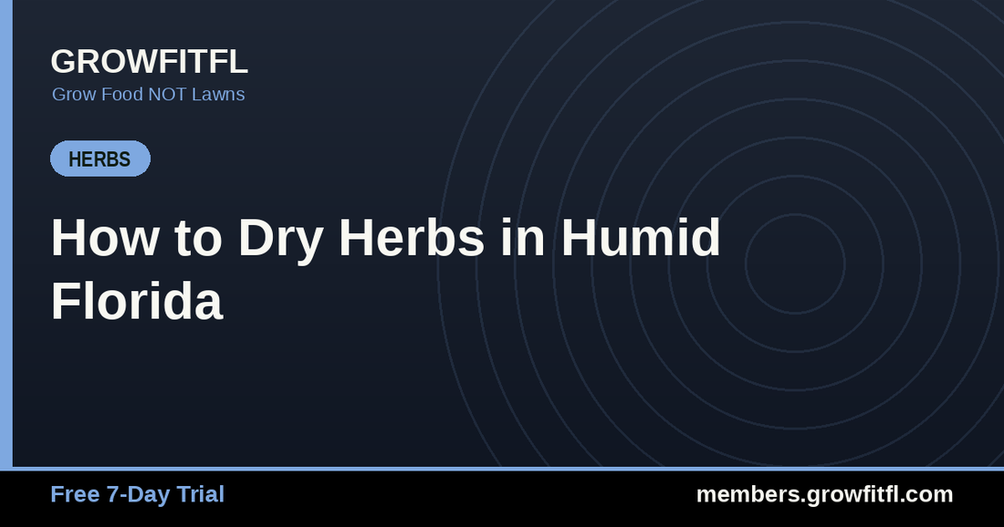 How to Dry Herbs in Humid Florida - GrowFitFL Florida gardening