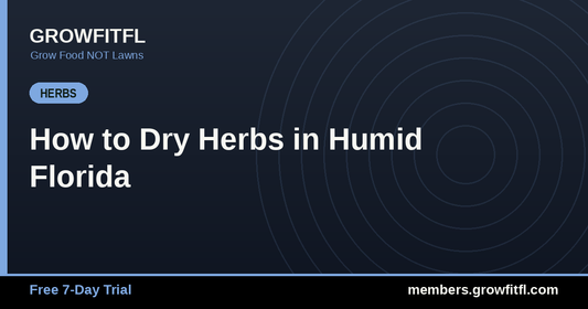 How to Dry Herbs in Humid Florida - GrowFitFL Florida gardening