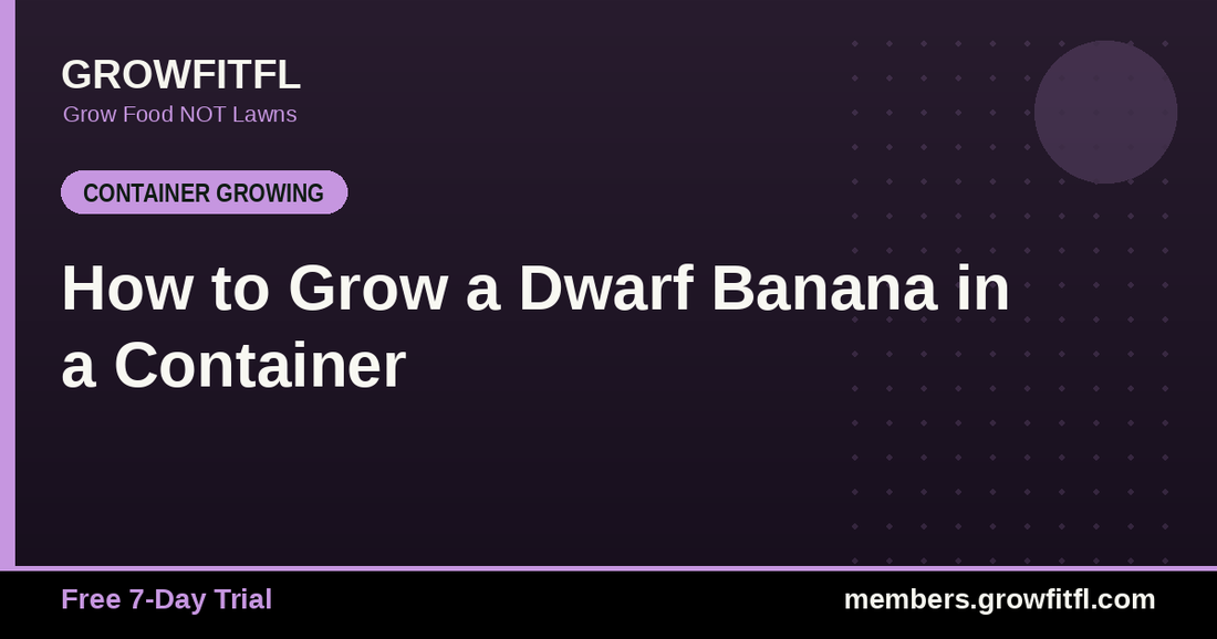 How to Grow a Dwarf Banana in a Container - GrowFitFL Florida gardening