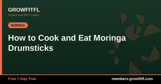 How to Cook and Eat Moringa Drumsticks - GrowFitFL Florida gardening