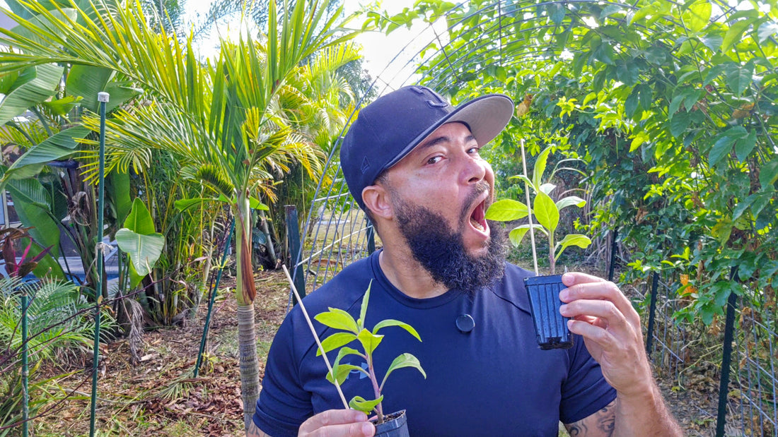 Jermaine Jefferson, Florida food forest grower and founder of GrowFitFL