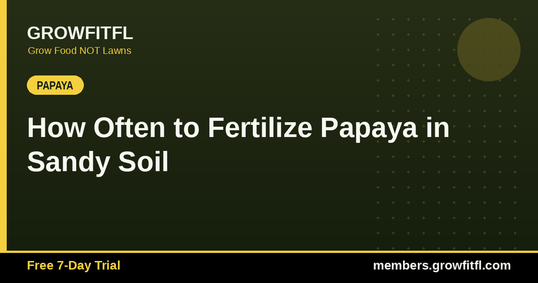 How Often to Fertilize Papaya in Sandy Soil - GrowFitFL Florida gardening