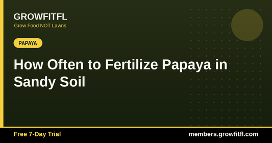 How Often to Fertilize Papaya in Sandy Soil - GrowFitFL Florida gardening