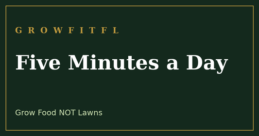 Simple five minute daily garden habits that keep you moving - GrowFitFL Florida gardening