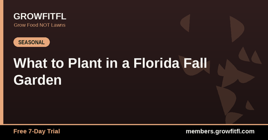 What to Plant in a Florida Fall Garden - GrowFitFL Florida gardening
