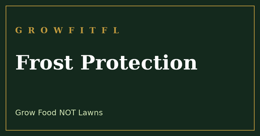 Frost protection methods that work in the South to save your garden from a freeze - GrowFitFL Florida gardening