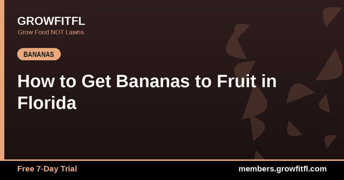 How to Get Bananas to Fruit in Florida - GrowFitFL Florida gardening