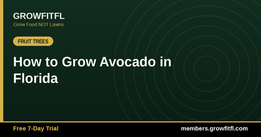 How to Grow Avocado in Florida - GrowFitFL Florida gardening