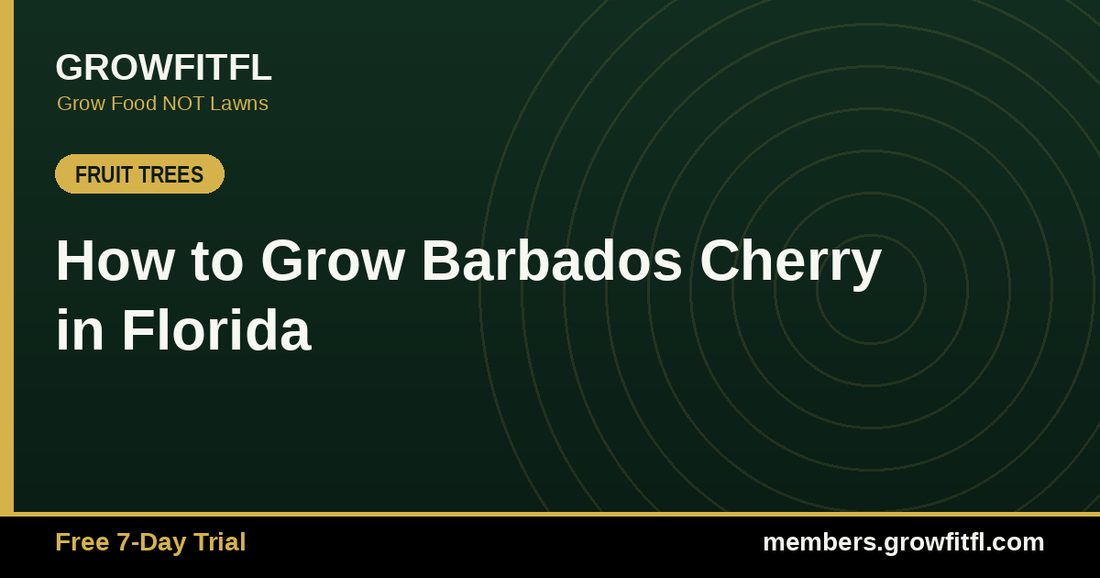 How to Grow Barbados Cherry in Florida - GrowFitFL Florida gardening