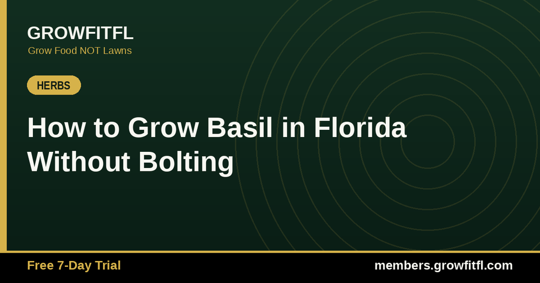 How to Grow Basil in Florida Without Bolting - GrowFitFL Florida gardening