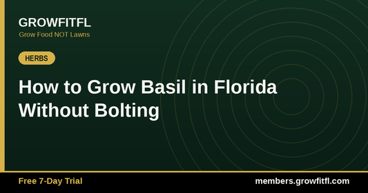 How to Grow Basil in Florida Without Bolting - GrowFitFL Florida gardening