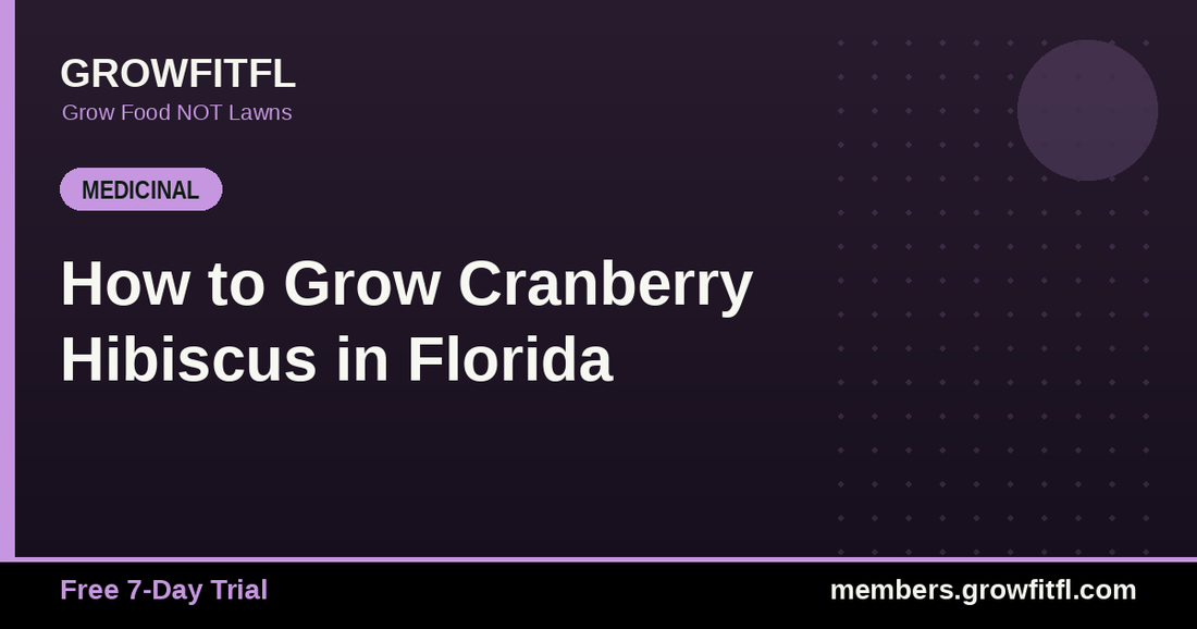 How to Grow Cranberry Hibiscus in Florida - GrowFitFL Florida gardening