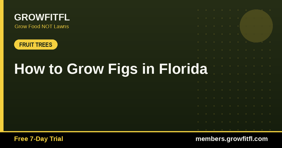 How to Grow Figs in Florida - GrowFitFL Florida gardening