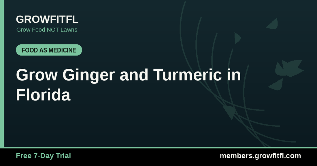 Grow Ginger and Turmeric in Florida - GrowFitFL Florida gardening
